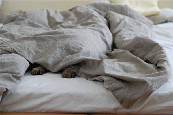 梦见毯子是什么意思 梦见毯子是什么意思