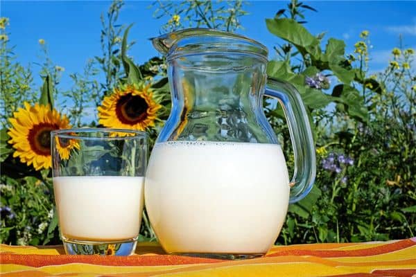 梦见豆奶是什么意思 梦见豆奶是什么意思