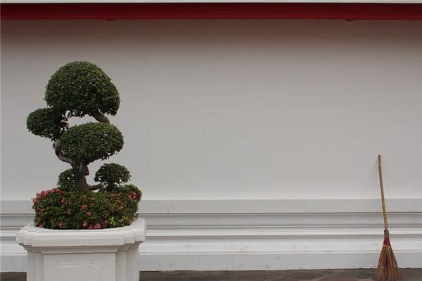 梦见笤帚是什么意思 梦见笤帚是什么意思