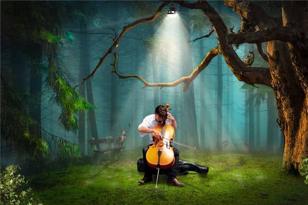 梦见大提琴是什么意思 梦见大提琴是什么意思