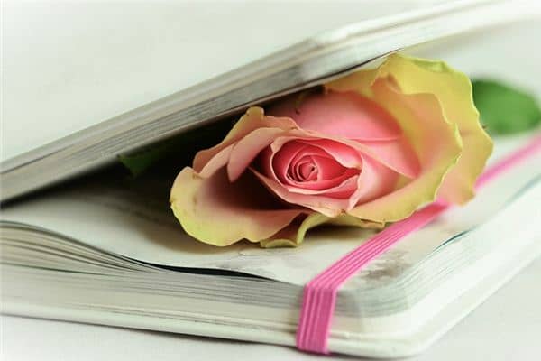 梦见诗歌是什么意思 梦见诗歌是什么意思