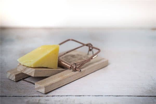 梦见捕鼠夹是什么意思 梦见捕鼠夹是什么意思