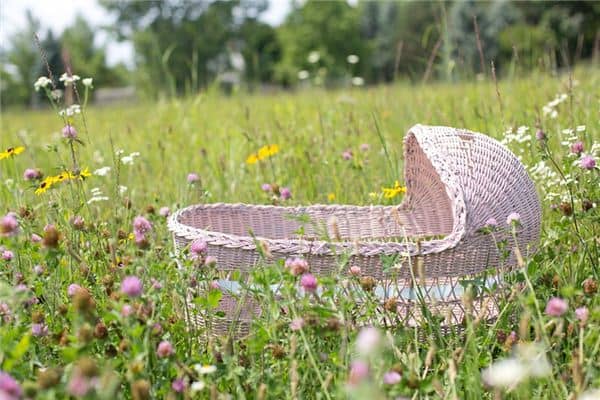 梦见摇篮是什么意思 梦见摇篮是什么意思