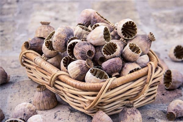 梦见鸦片是什么意思 梦见鸦片是什么意思