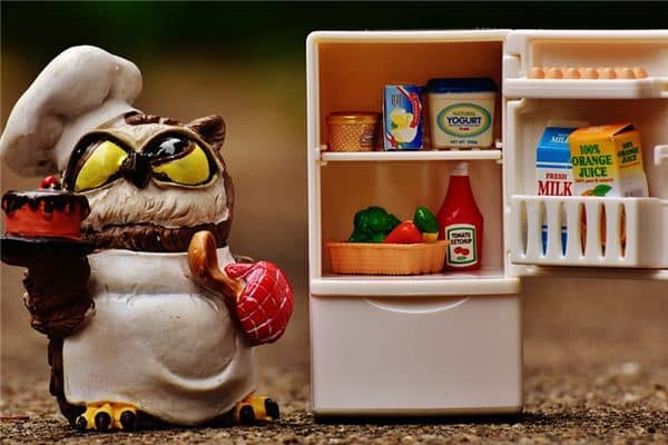 梦见电冰箱是什么意思 梦见电冰箱是什么意思