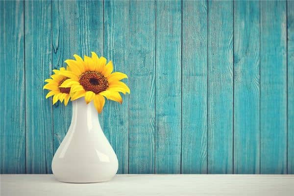 梦见花瓶是什么意思 梦见花瓶是什么意思