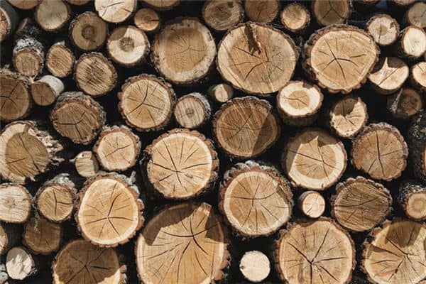 梦见木桩是什么意思 梦见木桩是什么意思