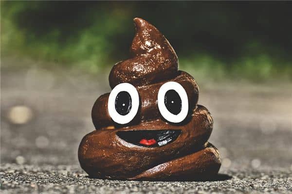 梦见屎尿是什么意思 梦见屎尿是什么意思