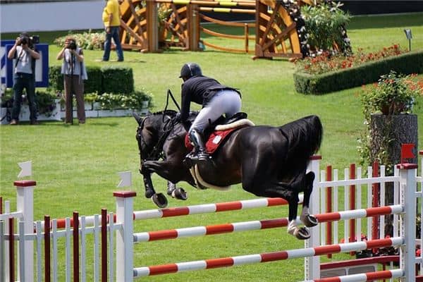 梦见障碍物是什么意思 梦见障碍物是什么意思