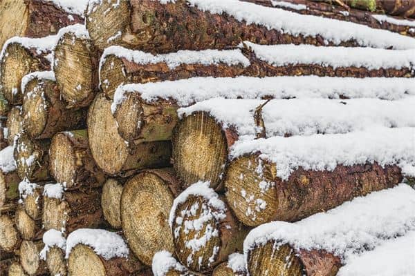 梦见木头是什么意思 梦见木头是什么意思