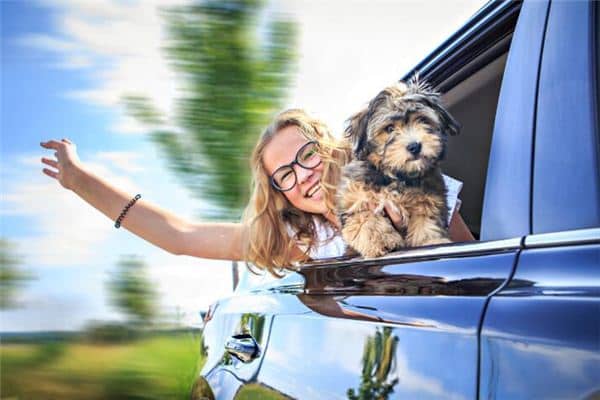 梦见坐汽车 梦见坐汽车