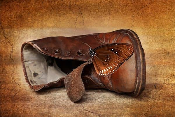 梦见破鞋是什么意思 梦见破鞋是什么意思