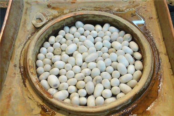 梦见蚕箔是什么意思 梦见蚕箔是什么意思