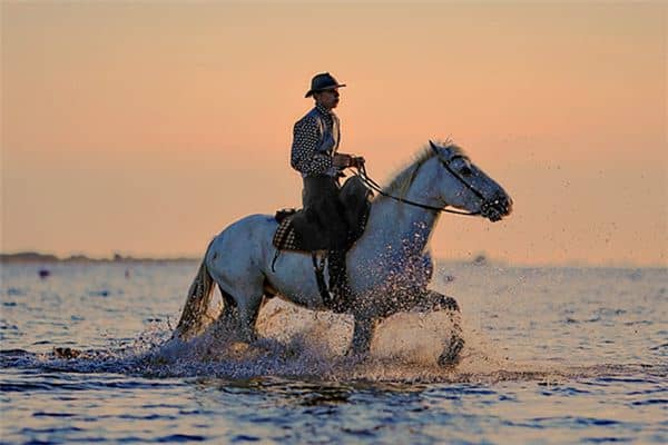 梦见骑马奔驰是什么意思 梦见骑马奔驰是什么意思