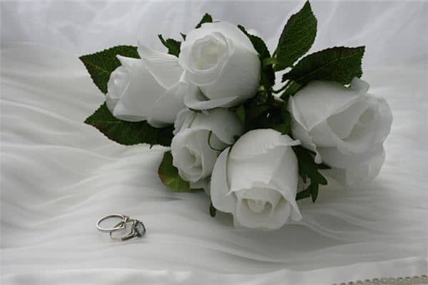 梦见假花 梦见假花