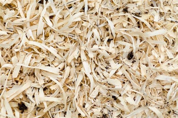 梦见木屑是什么意思 梦见木屑是什么意思