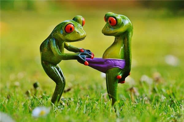 梦见内裤是什么意思 梦见内裤是什么意思