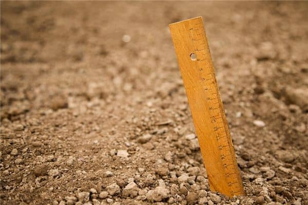 梦见码尺是什么意思 梦见码尺是什么意思