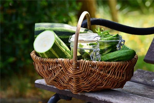 梦见篮子是什么意思 梦见篮子是什么意思