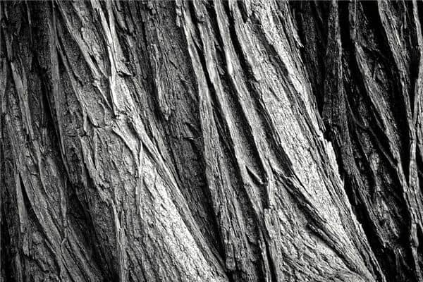 梦见黑檀木是什么意思 梦见黑檀木是什么意思