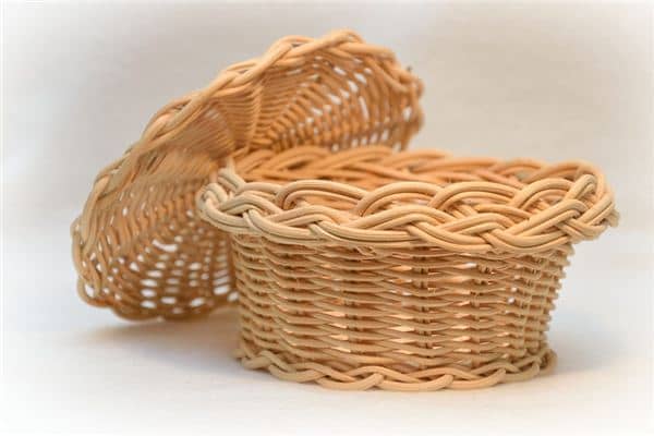 梦见藤条是什么意思 梦见藤条是什么意思