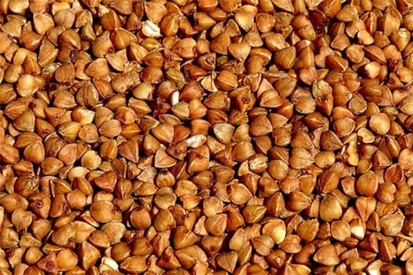 梦见荞麦是什么意思 梦见荞麦是什么意思