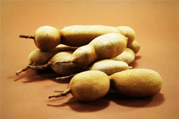 梦见罗望子是什么意思 梦见罗望子是什么意思