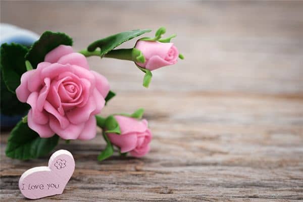 梦见月季花是什么意思 梦见月季花是什么意思