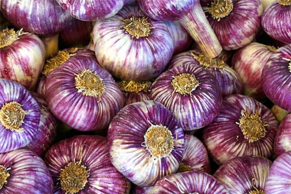 梦见蒜头满地是什么意思 梦见蒜头满地是什么意思