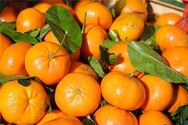 梦见芦柑是什么意思 梦见芦柑是什么意思