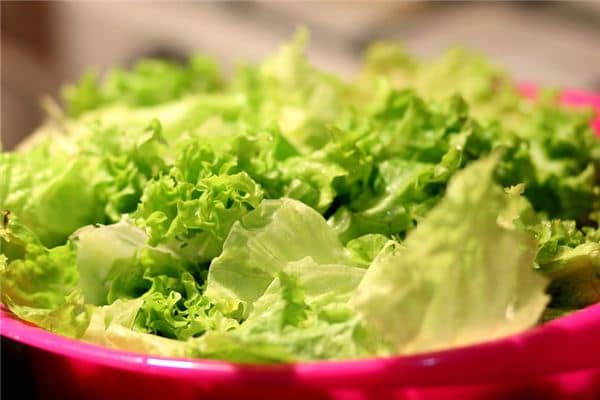 梦见生菜是什么意思 梦见生菜是什么意思