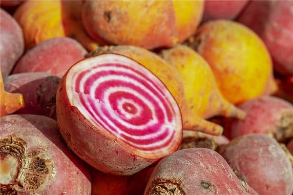 梦见甜菜是什么意思 梦见甜菜是什么意思