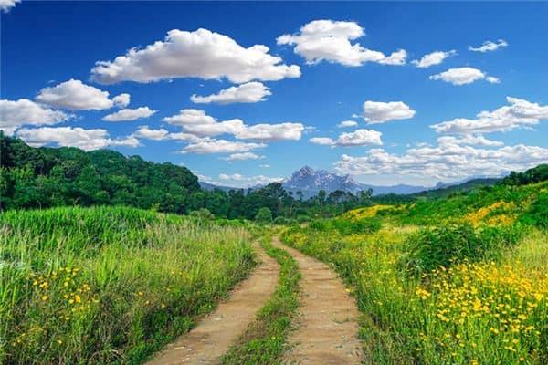 梦见阡陌是什么意思 梦见阡陌是什么意思