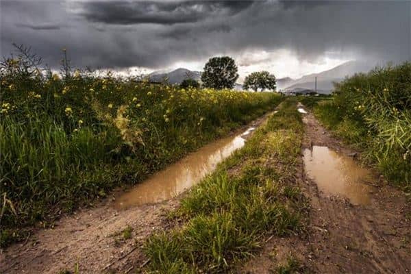 梦见泥坑是什么意思 梦见泥坑是什么意思