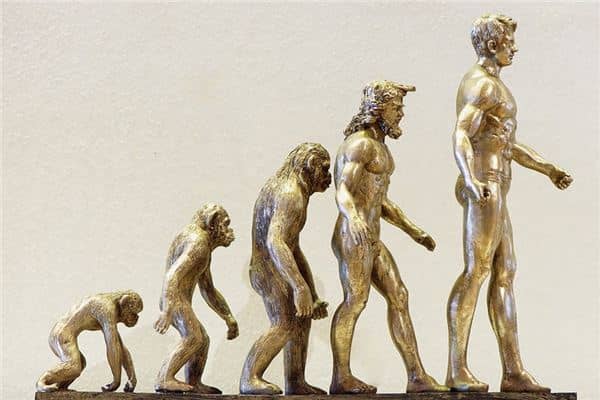 梦见进化是什么意思 梦见进化是什么意思