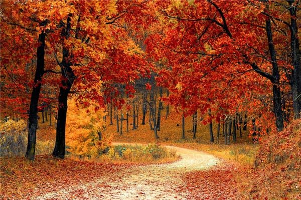 梦见秋天是什么意思 梦见秋天是什么意思