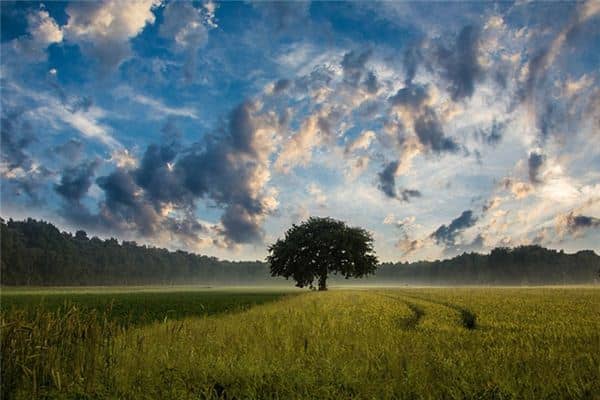 梦见野外是什么意思 梦见野外是什么意思