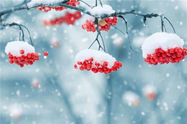 做梦梦到下雪 做梦梦到下雪