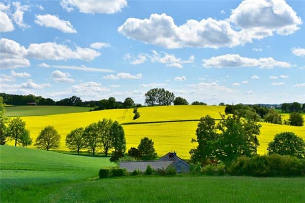 梦见田园风光是什么意思 梦见田园风光是什么意思