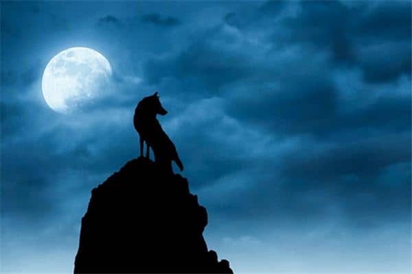 梦见天黑是什么意思 梦见天黑是什么意思