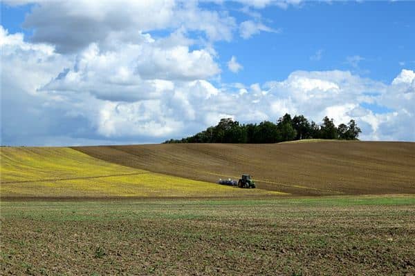 梦见田野是什么意思 梦见田野是什么意思