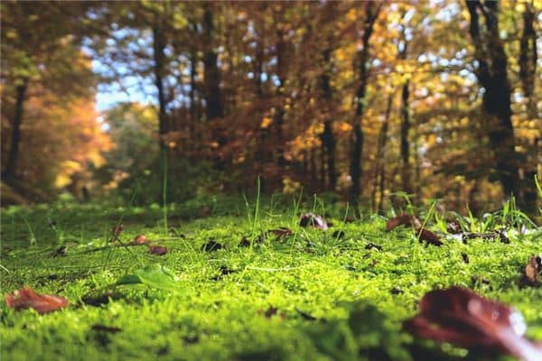 梦见地面是什么意思 梦见地面是什么意思