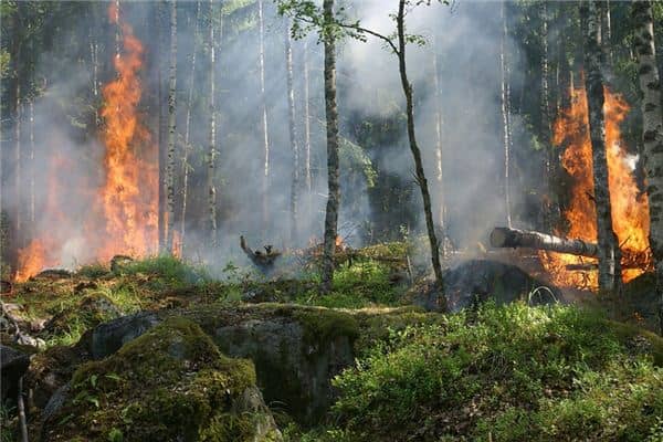 梦见火烧山是什么意思 梦见火烧山是什么意思