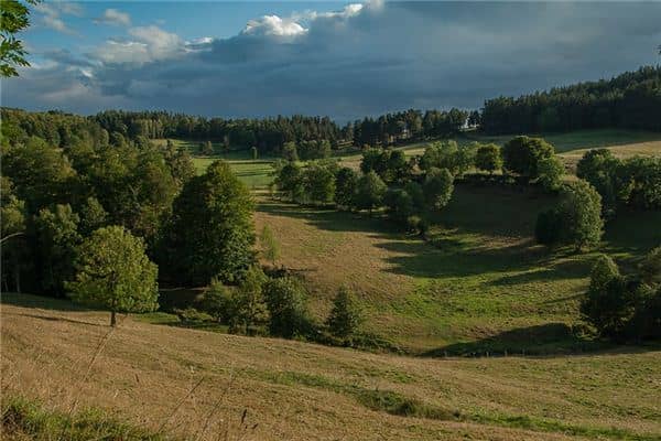 梦见大草原是什么意思 梦见大草原是什么意思