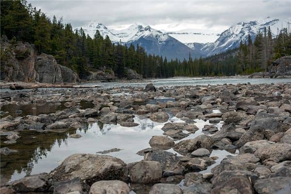 梦见河床是什么意思 梦见河床是什么意思