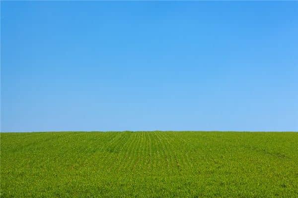 梦见平原是什么意思 梦见平原是什么意思