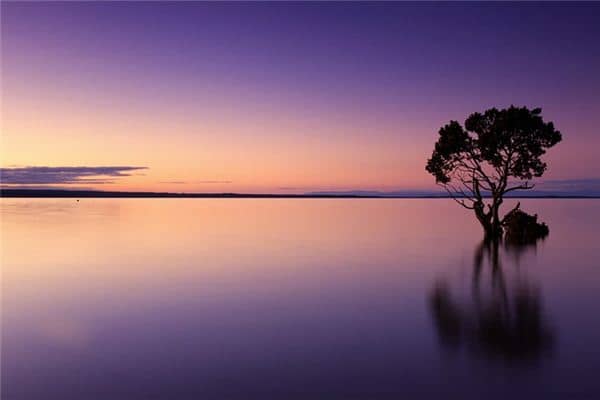 梦见风景是什么意思 梦见风景是什么意思
