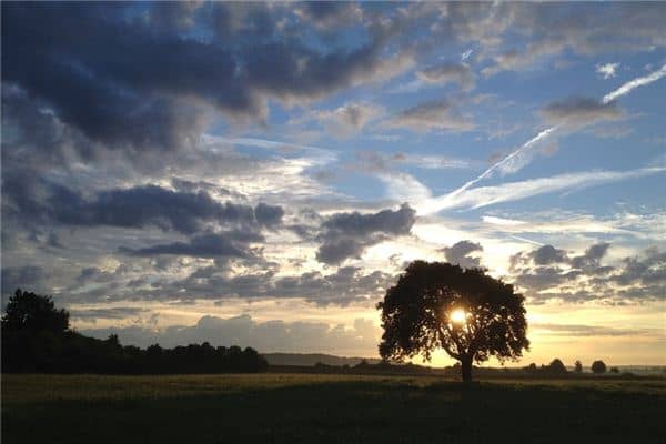 梦见天亮是什么意思 梦见天亮是什么意思