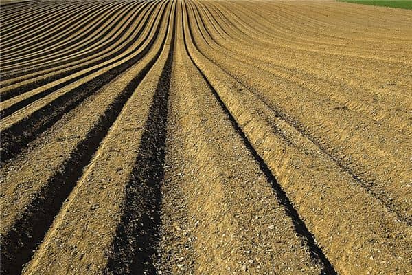 梦见壕沟是什么意思 梦见壕沟是什么意思