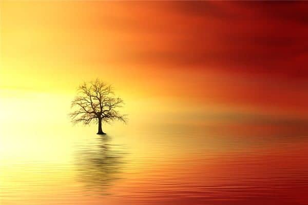 梦见湖是什么意思 梦见湖是什么意思